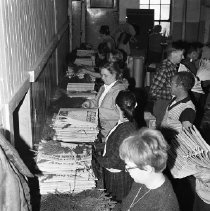 Observer's - Centennial Trees